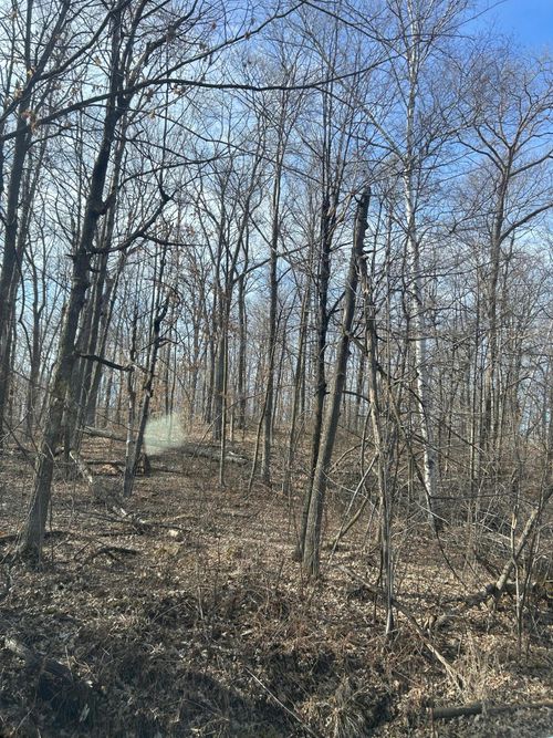 xxx Birch Acres Rd, Cushing, MN, 56443 | Card Image