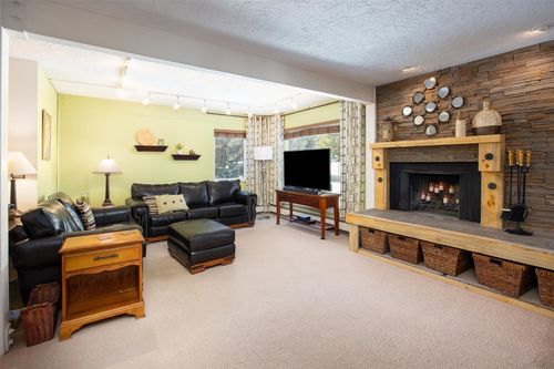 103-101 Ryan Gulch Rd, Silverthorne, CO, 80498-5454 | Card Image