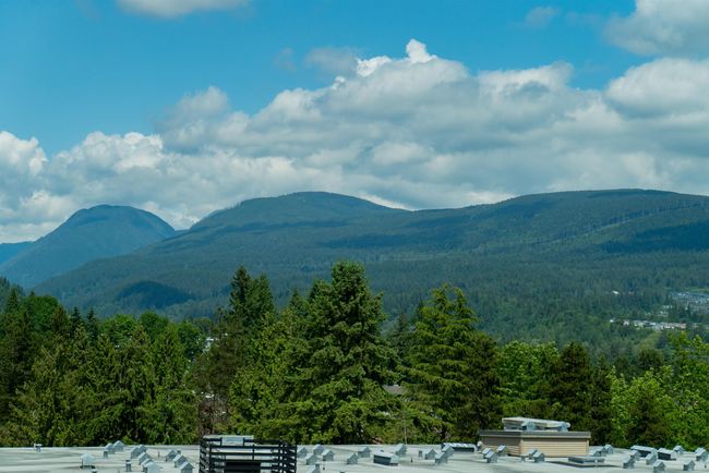 Mountain view featuring a heavily wooded area | Image 31