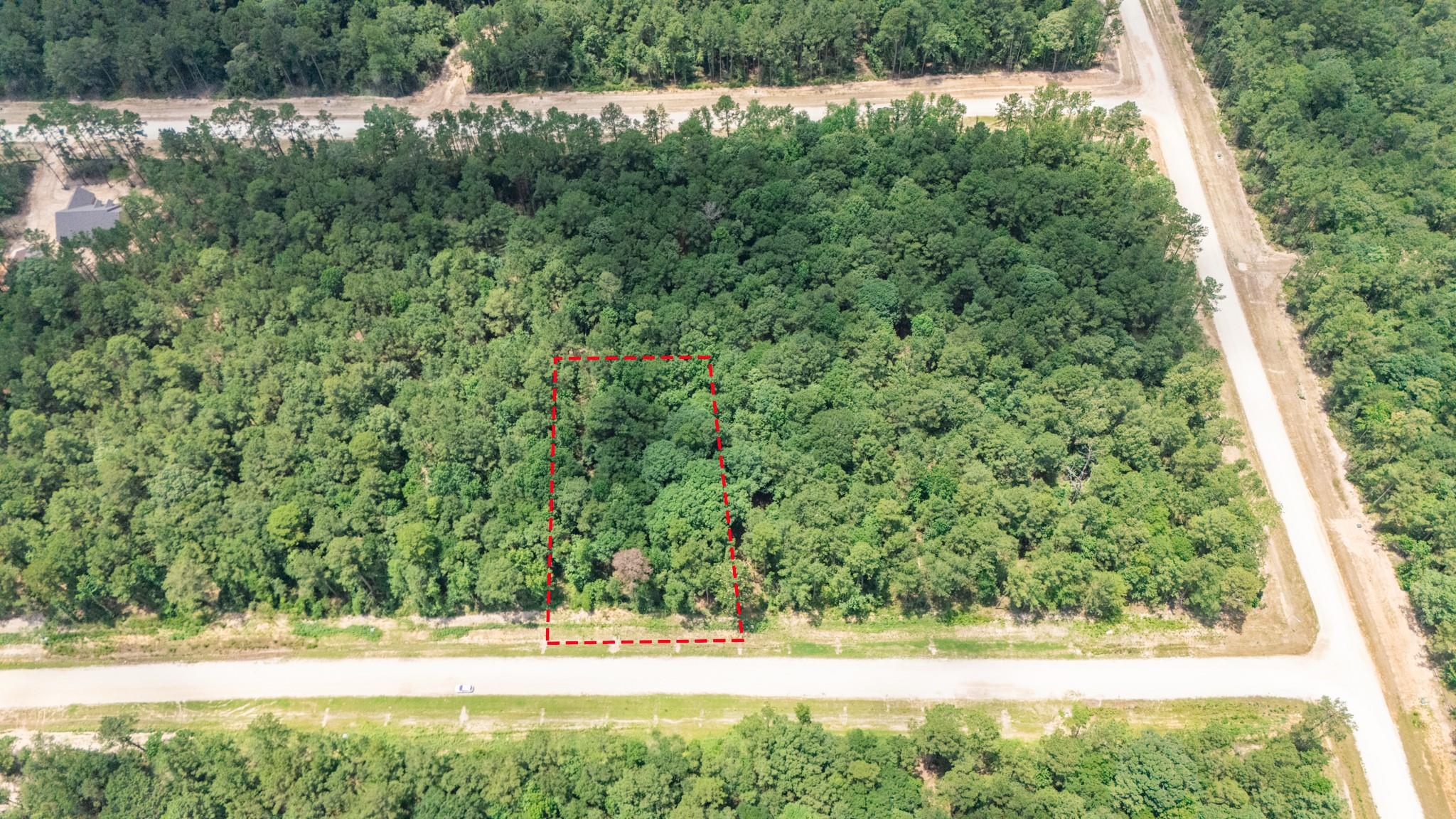 Land in New Waverly 3