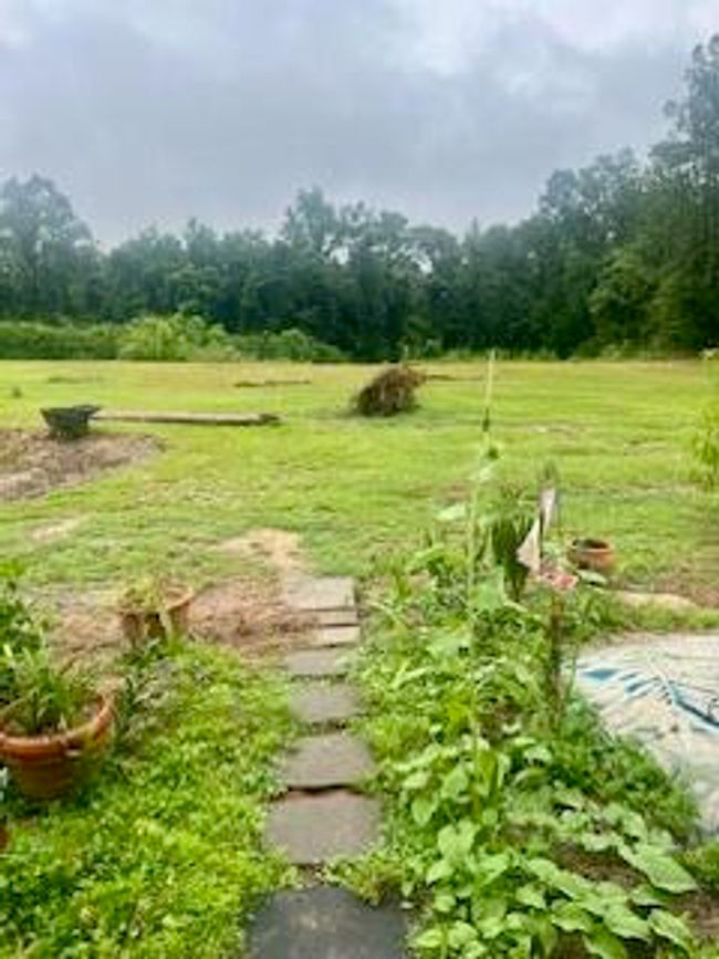 Back Porch View | Image 18