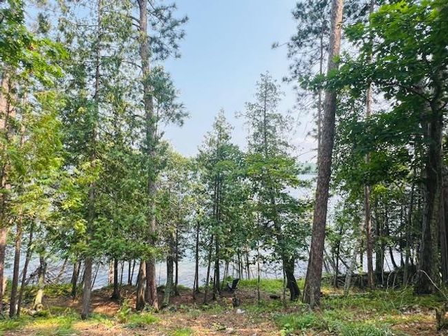 5878 S Thunder Lake Dr Ne, Home with 0 bedrooms, 0 bathrooms and null parking in Remer MN | Image 45