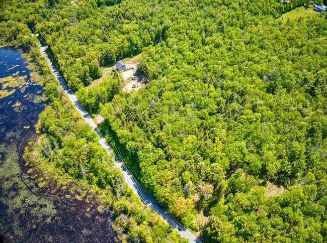 983 Stoney Brook Rd, Home with 0 bedrooms, 0 bathrooms and null parking in Springfield NH | Image 4