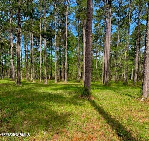 52 Corolla Loop Rd, Arapahoe, NC, 28510 | Card Image