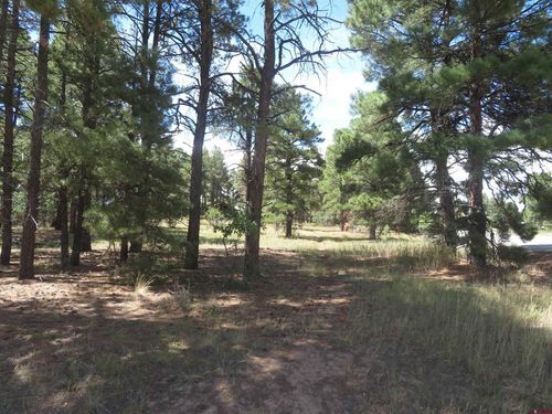 824 Antelope Ave, Pagosa Springs, CO, 81147-8949 | Card Image