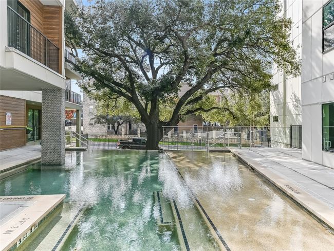 Pool featuring 100 year old oak tree | Image 13