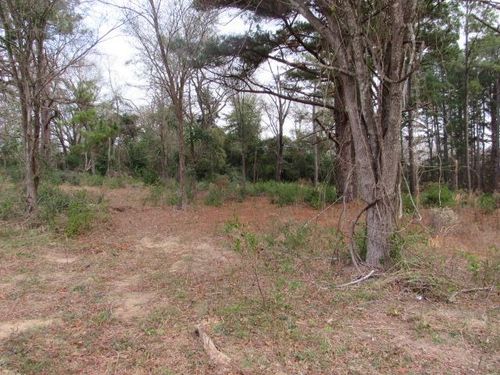 00 N Queen St, Palestine, TX, 75801 | Card Image