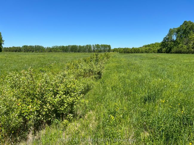 0 Vachon Rd, Home with 0 bedrooms, 0 bathrooms and null parking in Cache Bay ON | Image 4
