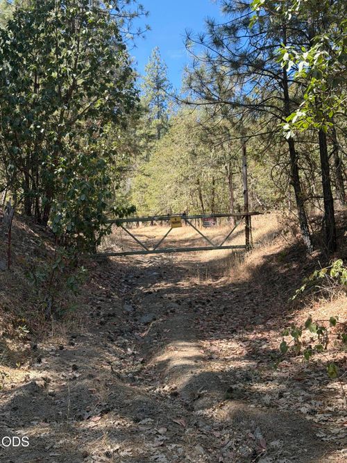 3303 Foots Creek Rd, Gold Hill, OR, 97525-1100 | Card Image