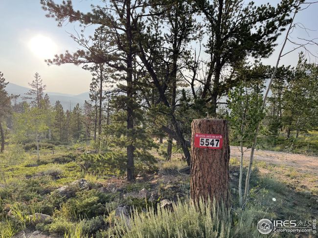 5547 N County Road 73 C, House other with 2 bedrooms, 2 bathrooms and null parking in Red Feather Lakes CO | Image 34