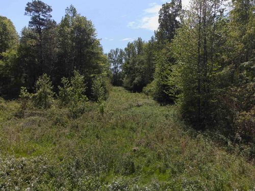 10 Acres off Turner Road, Rose Bud, AR, 72137 | Card Image
