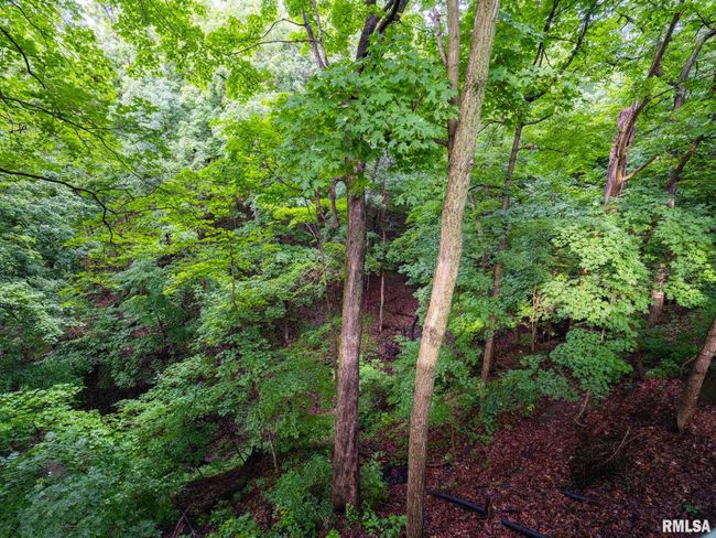 743 W Wonderview Dr, House other with 3 bedrooms, 2 bathrooms and null parking in Dunlap IL | Image 49