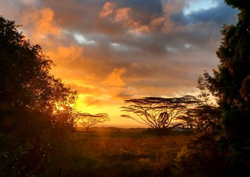 17-3664 Maunalani Tract Rd, Mountain View, HI, 96771 | Card Image