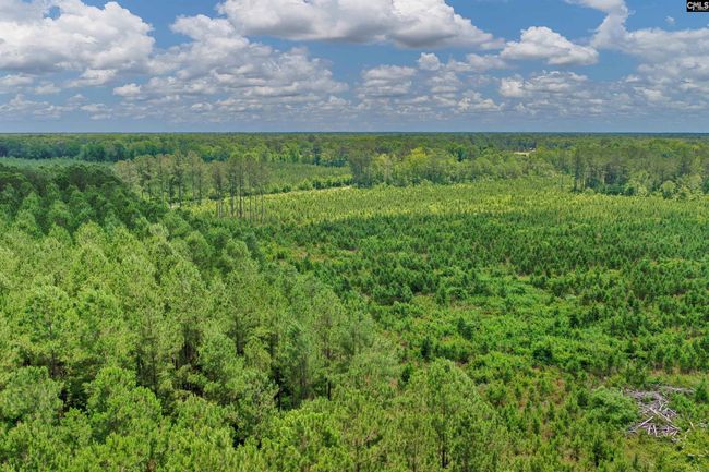 0000 N Brewington Rd, Home with 0 bedrooms, 0 bathrooms and null parking in Manning SC | Image 19