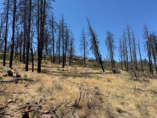 lot-5-0 Wren Dr, Bonanza, OR, 97623 | Card Image