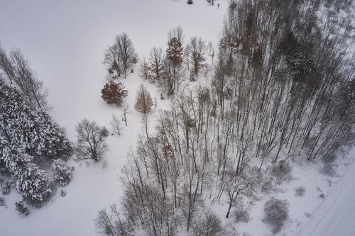 Parcel B Eikey Road, East Bay Township, MI, 49696 | Card Image