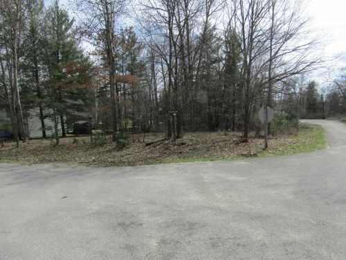 VL_173 E Caribou Trail, Churchill Township, MI, 48661 | Card Image
