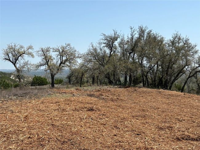 108 Oryx Cove, Home with 0 bedrooms, 0 bathrooms and null parking in Blanco TX | Image 22