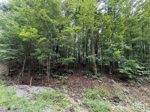 111-0 Woodchuck Ln, Marion, NC, 28752 | Card Image