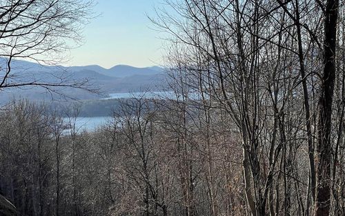 Lot 63 Dan Knob Dr, Hayesville, NC, 28904-6341 | Card Image