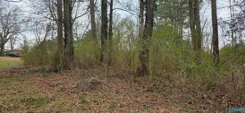 LOT 7B Goehler Rd Se, Cullman, AL, 35055 | Card Image