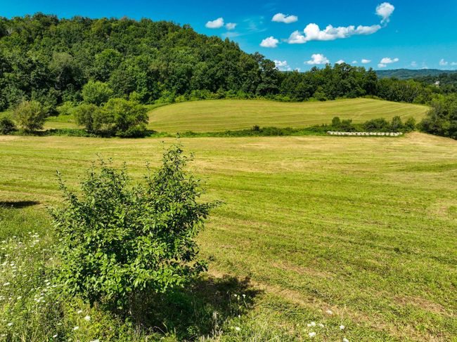 DJI_0382.jpg | Image 9