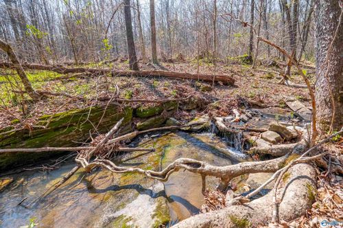 163 Acres Duck Springs Rd, Attalla, AL, 35954 | Card Image