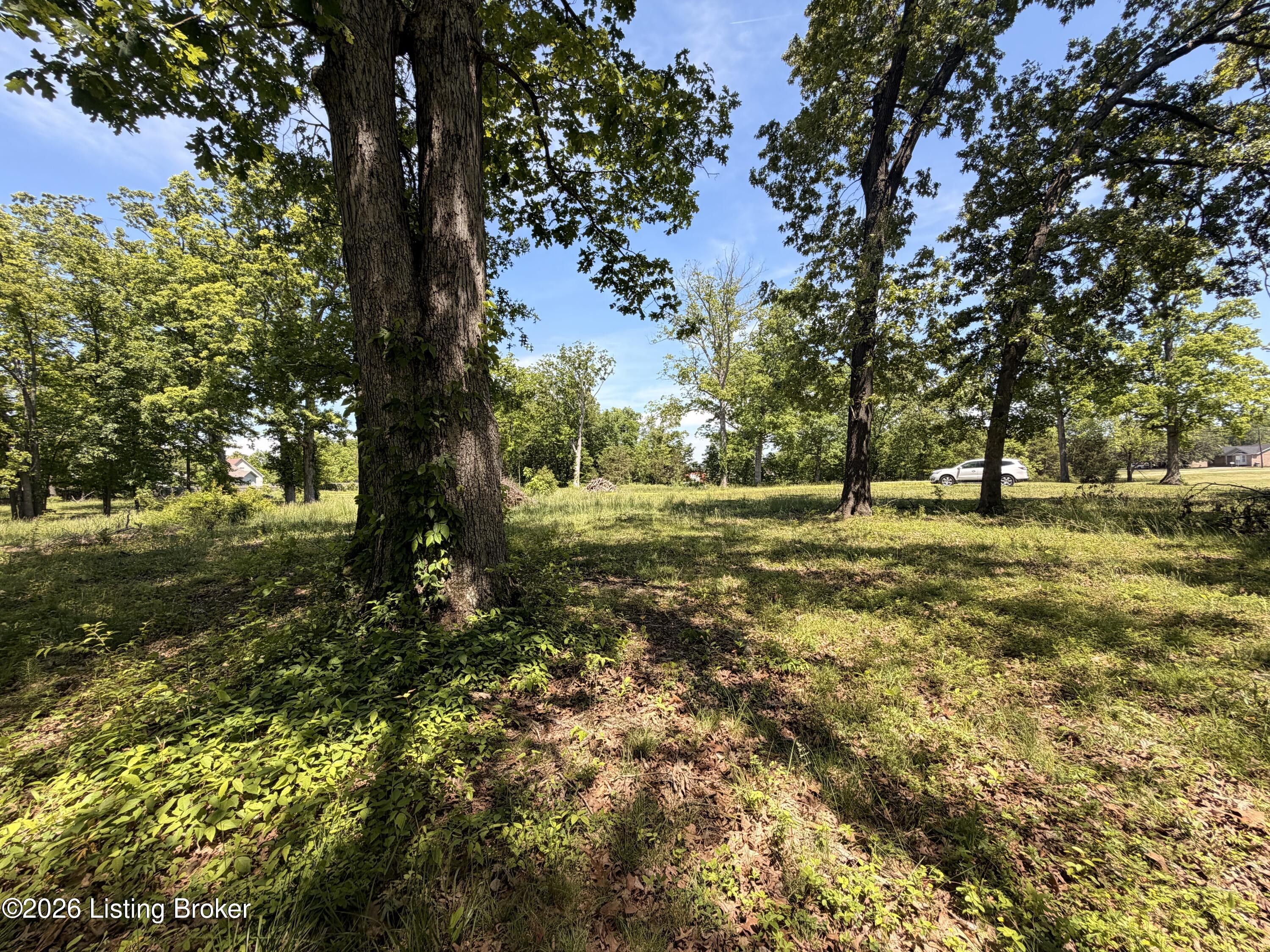 Land in Shepherdsville 3