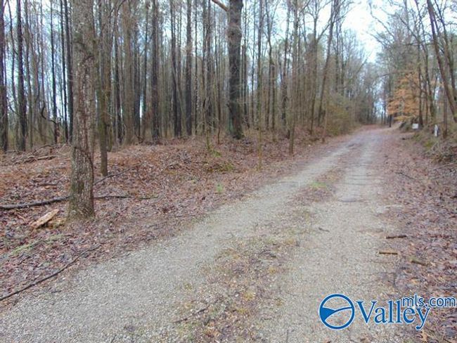 7 acres Carters Gin Rd, Home with 0 bedrooms, 0 bathrooms and null parking in Toney AL | Image 9
