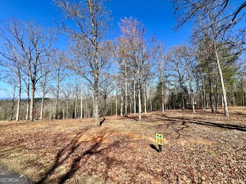 10 Arbor Creek Trail, Mineral Bluff, GA, 30559 | Card Image