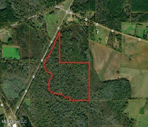 Highway 35 Highway 35 S, Mount Olive, MS, 39119 | Card Image