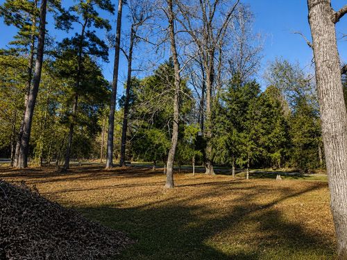 TBD Acorn, Livingston, TX, 77351 | Card Image