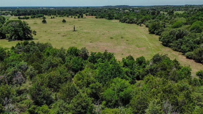 1197 Private Road 2071, Home with 4 bedrooms, 3 bathrooms and null parking in Giddings TX | Image 16