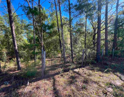 XX Old Federal Rd, Quincy, FL, 32351 | Card Image