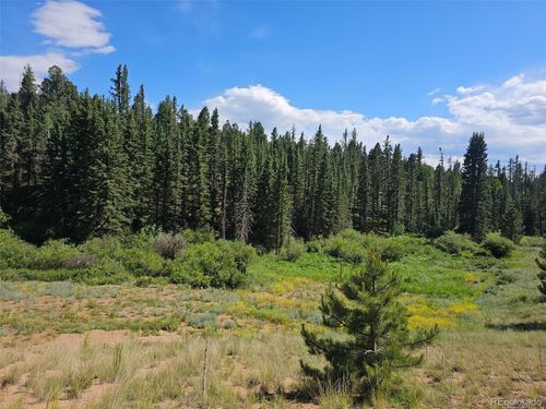 1164 Arapahoe Creek Trl, Florissant, CO, 80816-7197 | Card Image