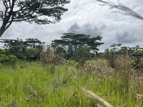 11-2038 Makoa Rd, VOLCANO, HI, 96785 | Card Image