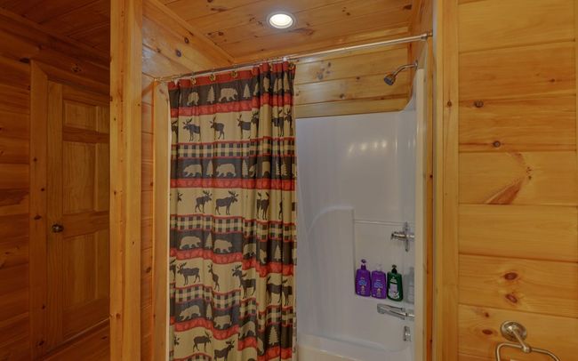 890 Mountain Lake Cir, Home with 3 bedrooms, 3 bathrooms and null parking in Blue Ridge GA | Image 24