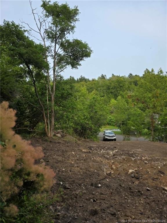 Land in Saint John