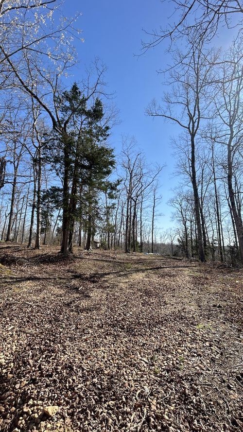 97 Cardinal Hollow Rd, Linden, TN, 37096-5163 | Card Image