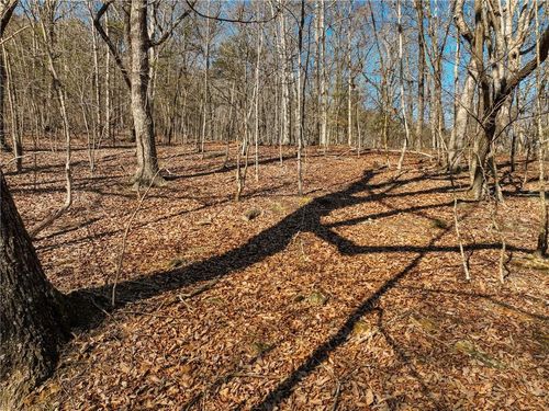 Lot 8 Mount Mincie Road, Murrayville, GA, 30564 | Card Image