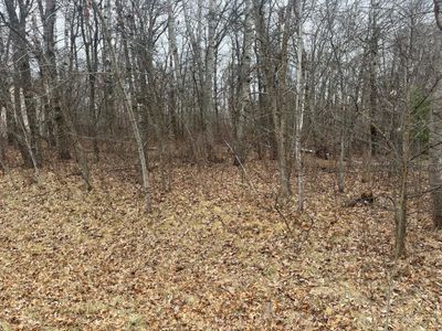 Lot 8 Scenic Overlook, Home with 0 bedrooms, 0 bathrooms and null parking in Breezy Point MN | Image 3