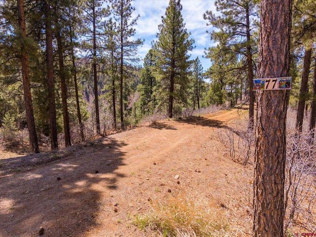 77 Culebra Cir, Home with 0 bedrooms, 0 bathrooms and null parking in Durango CO | Image 29