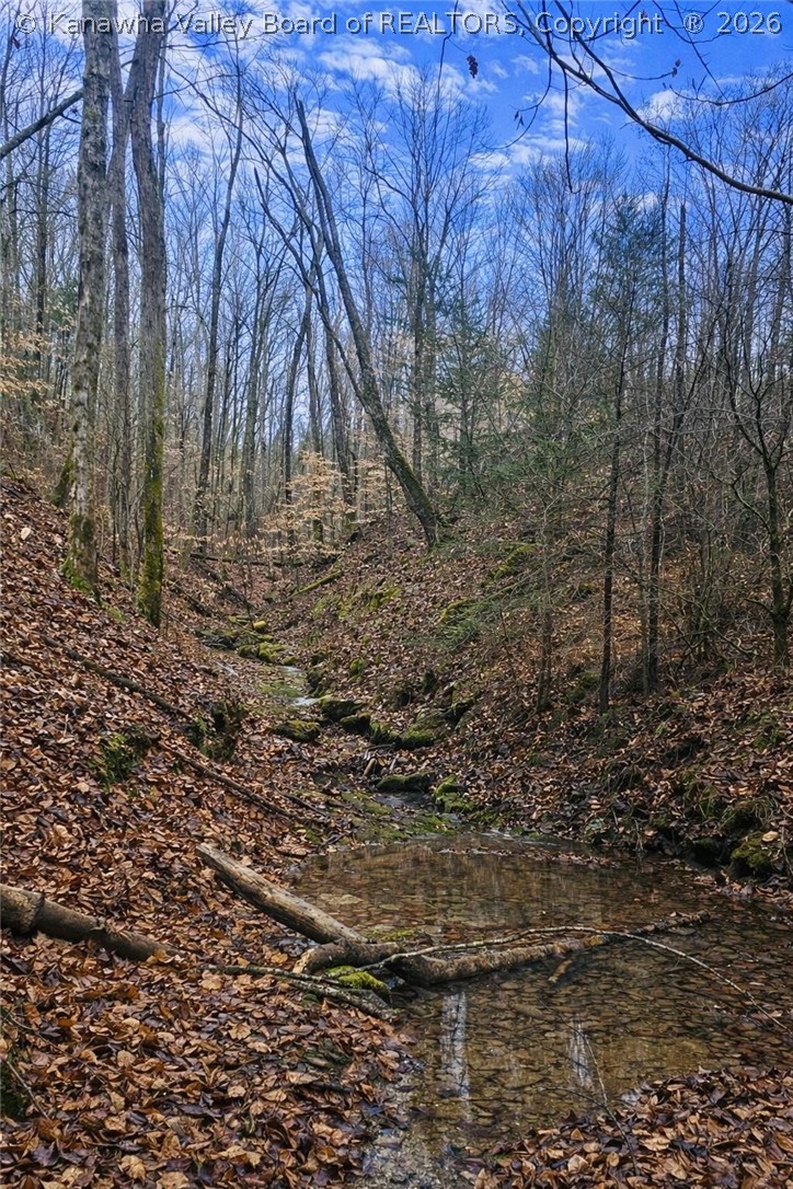 Land in Gandeeville 3