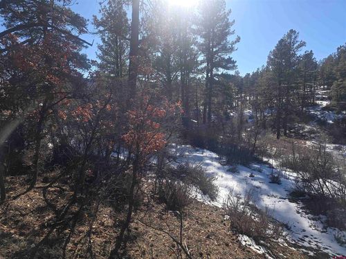492 Circle Dr, Pagosa Springs, CO, 81147-7617 | Card Image