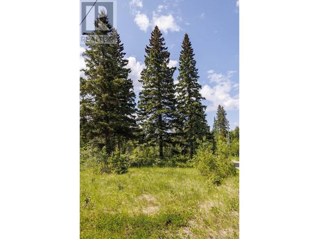 3180 Garrett Rd, Home with 0 bedrooms, 0 bathrooms and null parking in Mcbride BC | Image 16