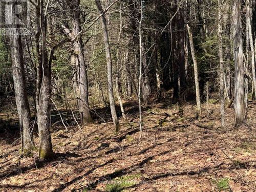 Lot 16 Con 2 Draper, Bracebridge (Draper), ON, P1P1R3 | Card Image