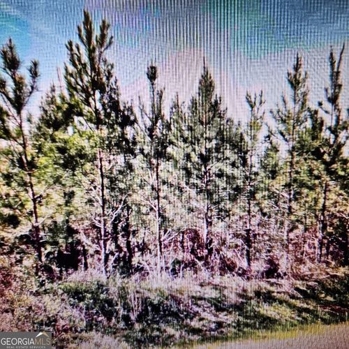 0 Old Vienna Rd, Elko, GA, 31025 | Card Image