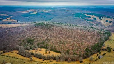 000 Holly Mountain Road, Home with 0 bedrooms, 0 bathrooms and null parking in Clinton AR | Image 1