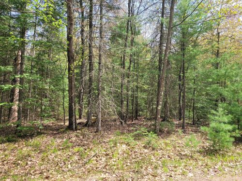 Lot #6 Boardwalk Dr, Sugar Camp, WI, 54521 | Card Image