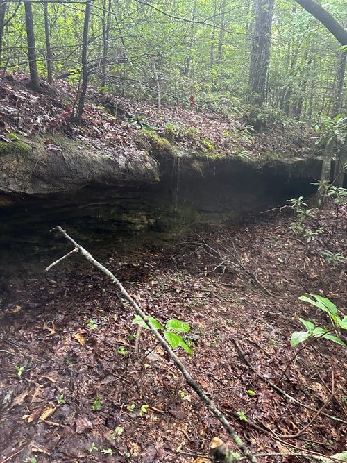 Lot 323 Flat Top View, Wilder, TN, 38589 | Card Image